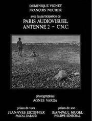 瓦尔达个人资料,艺术与生活的完美融合