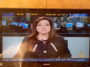 卫视女主播图片,镜头下的优雅与智慧