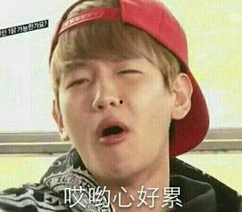 伯贤表情包,捕捉偶像的瞬间魅力